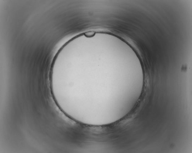 X0000111250959200907231550