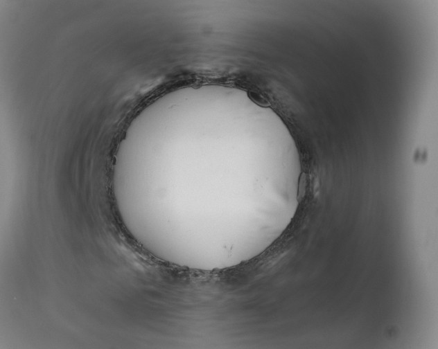 X0000111250961200907231549