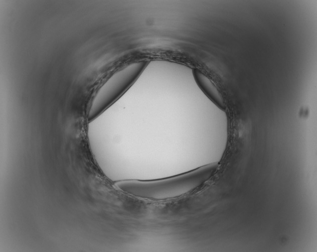 X0000111250965200907231549