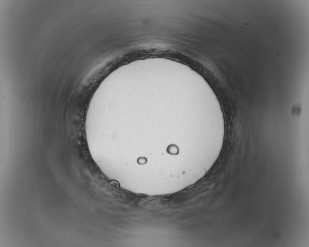 X0000111250967200907231549