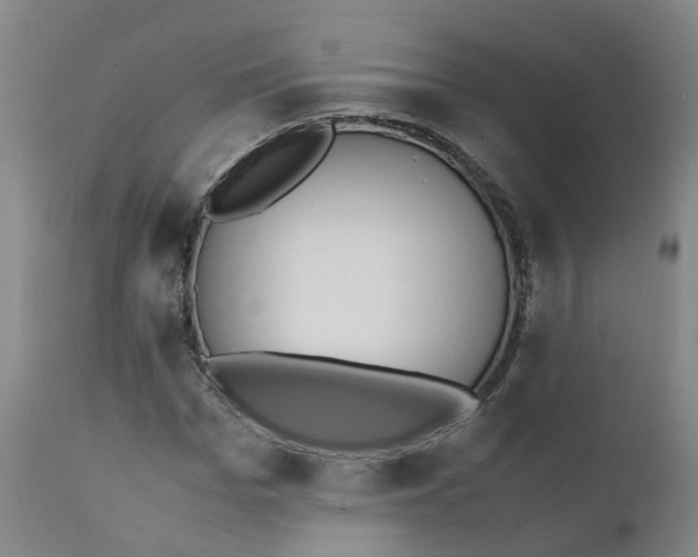 X0000111250969200907231549