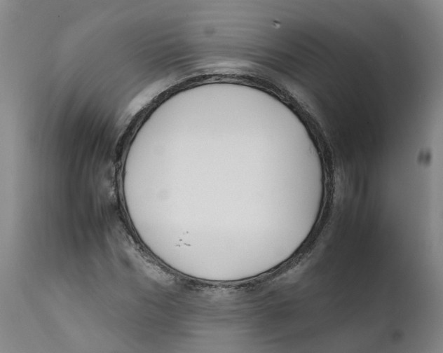 X0000111250970200907231549