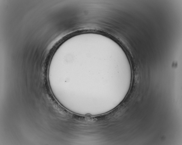 X0000111250975200907231549