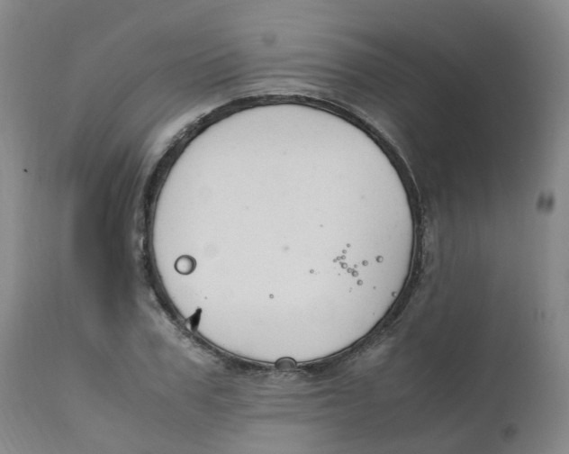 X0000111250979200907231549