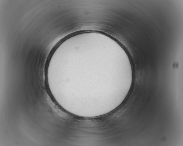 X0000111250980200907231549