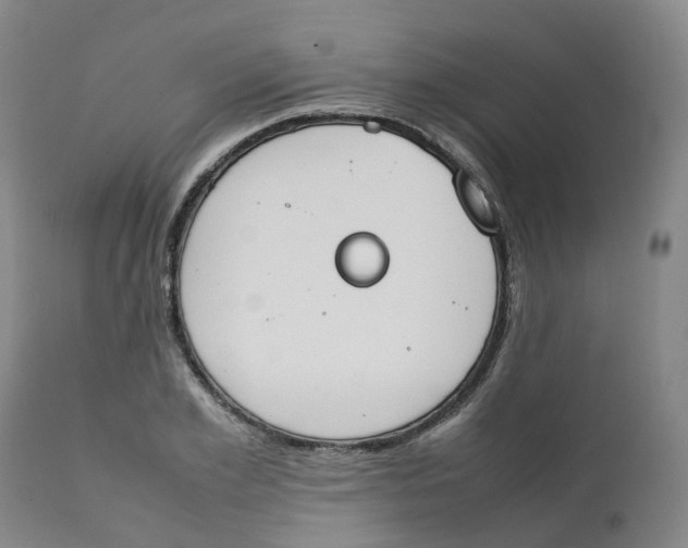 X0000111250981200907231549