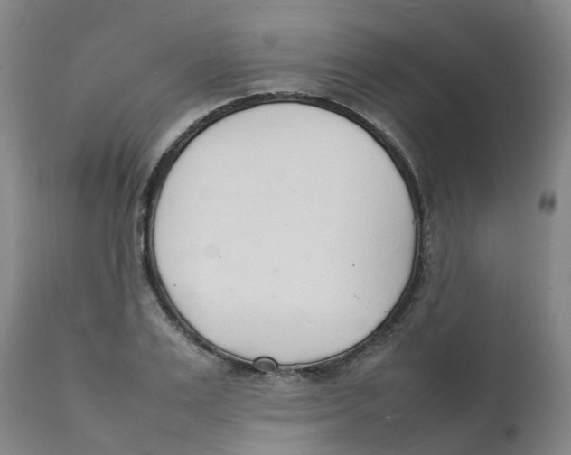 X0000111250983200907231549