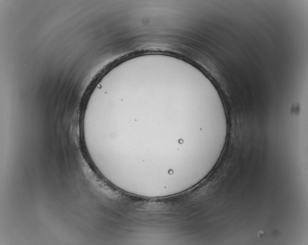 X0000111250984200907231549