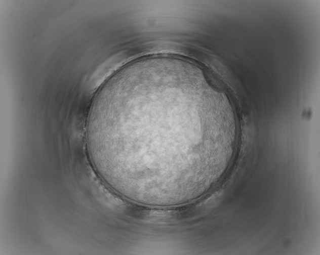 X0000111250985200907231549