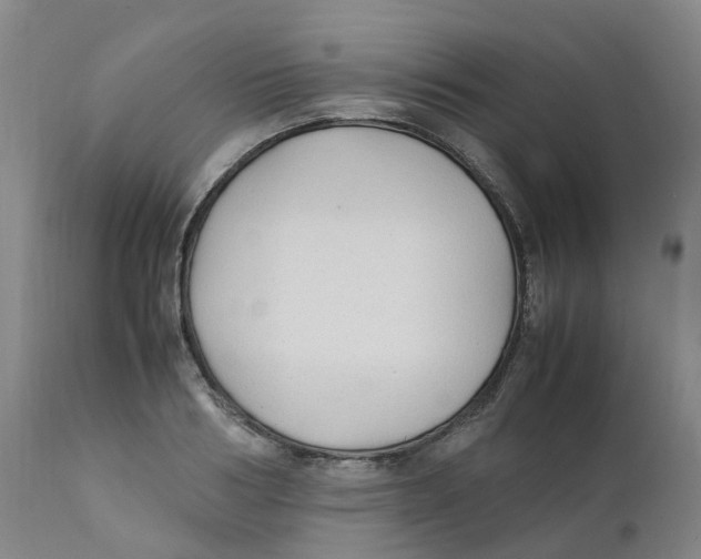 X0000111250986200907231549