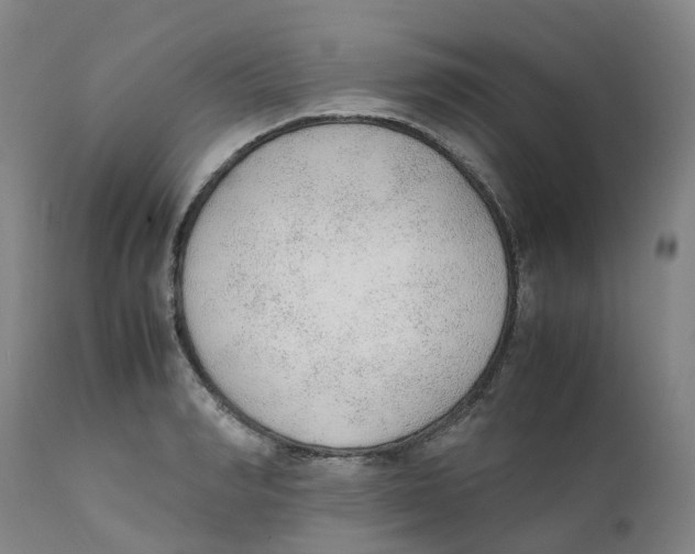 X0000111250990200907231549