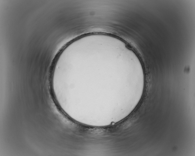 X0000111250991200907231549