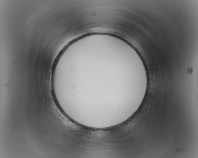 X0000111250992200907231549