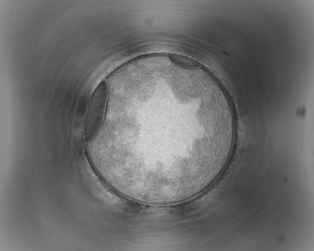 X0000111250993200907231549