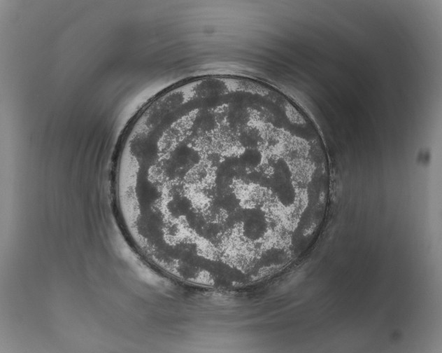 X0000111250995200907231549