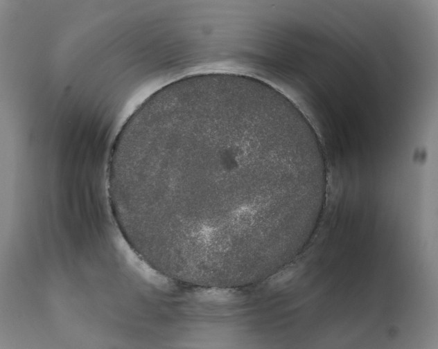 X0000111250998200907231549