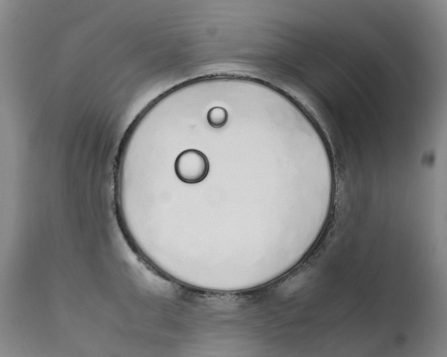 X0000111250999200907231549