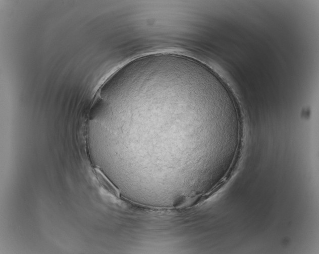 X0000111251001200907231548