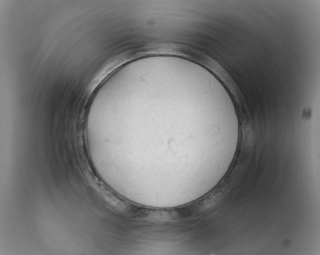 X0000111251002200907231548