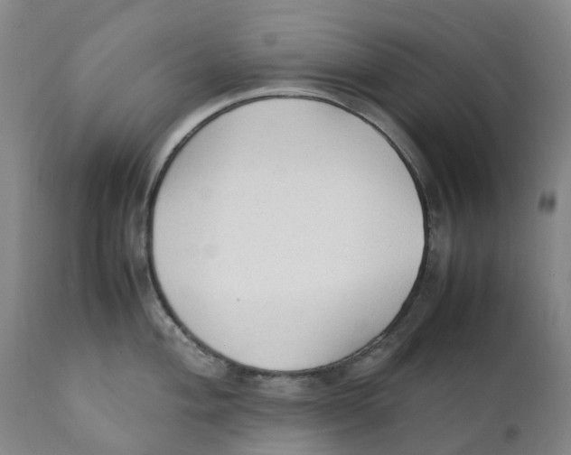 X0000111251004200907231548