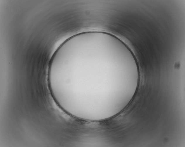 X0000111251006200907231548