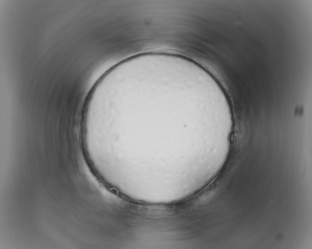 X0000111251007200907231548