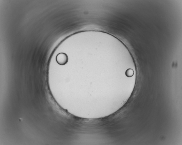 X0000111251008200907231548