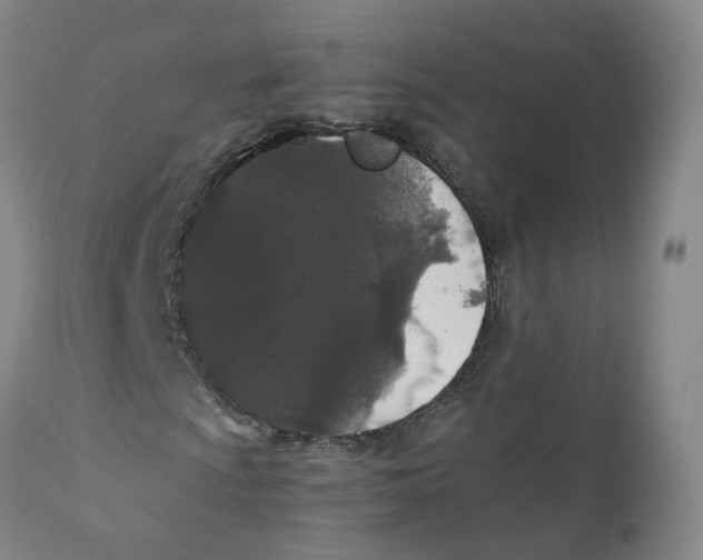 X0000111251009200907231548