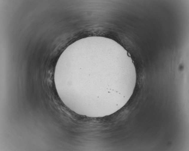 X0000111251010200907231548