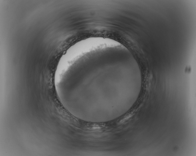 X0000111251013200907231548