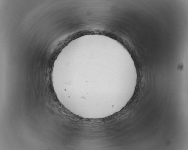 X0000111251016200907231548