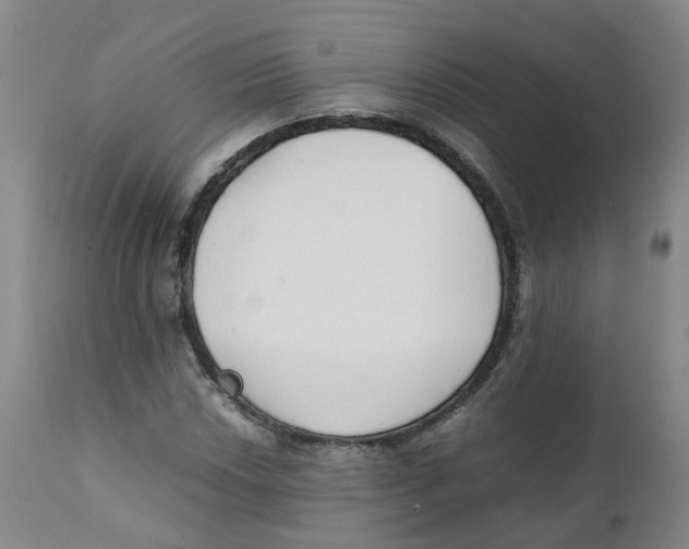 X0000111251018200907231548