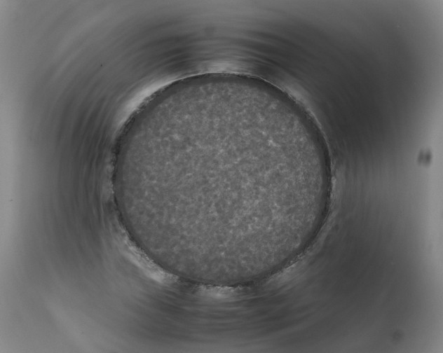 X0000111251019200907231548