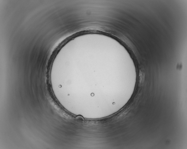 X0000111251020200907231548