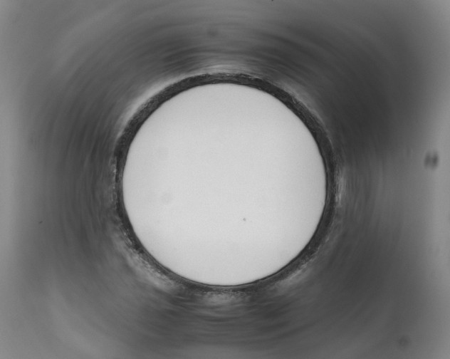 X0000111251021200907231548