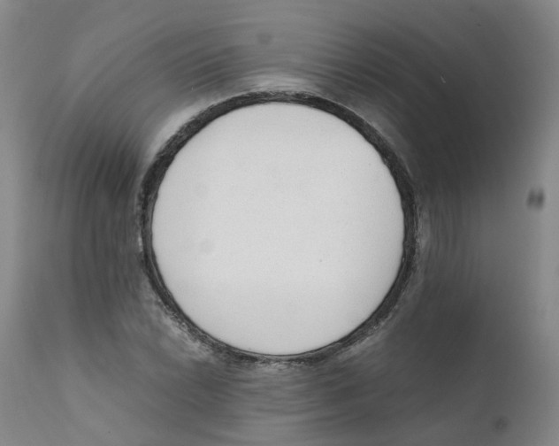 X0000111251022200907231548