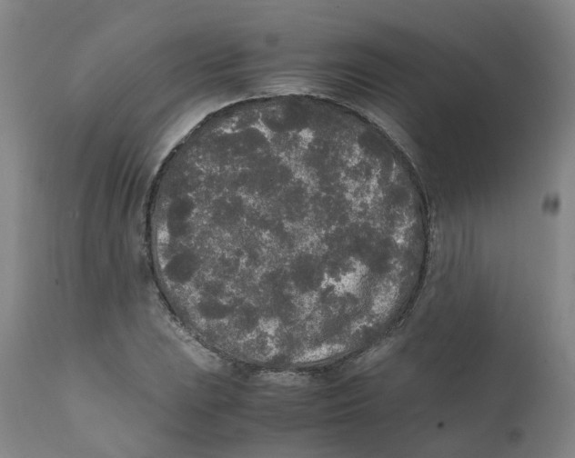 X0000111251023200907231548