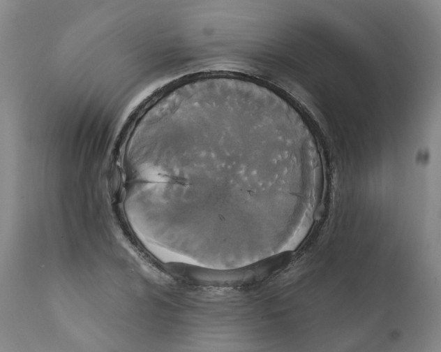 X0000111251024200907231548