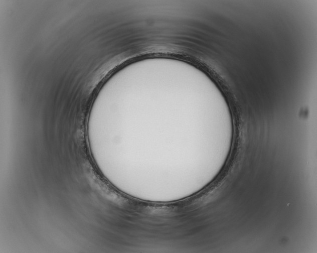 X0000111251025200907231548