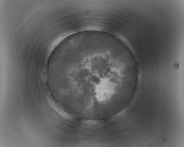 X0000111251027200907231548