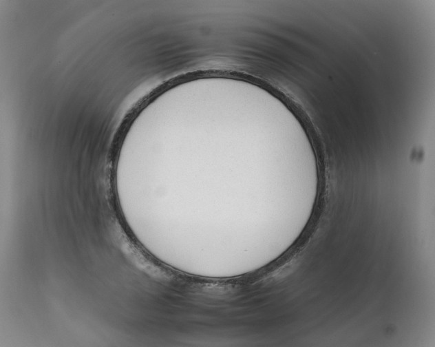 X0000111251029200907231548