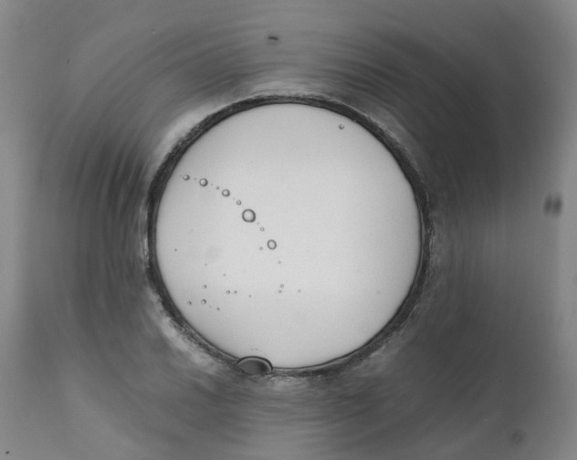 X0000111251030200907231548