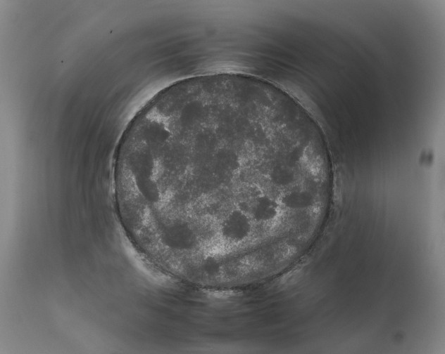 X0000111251031200907231548