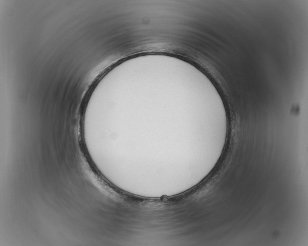 X0000111251034200907231548