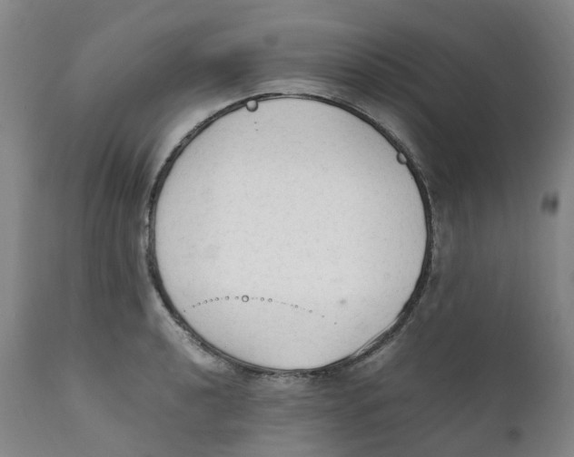 X0000111251040200907231548