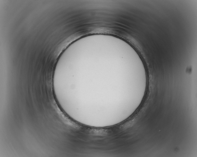 X0000111251041200907231548