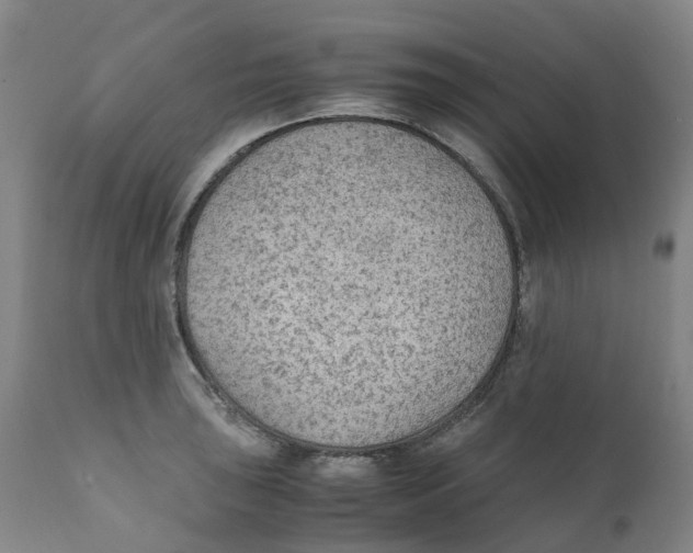 X0000111251043200907231548