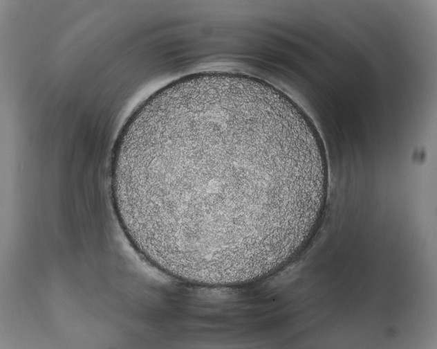 X0000111251045200907231548