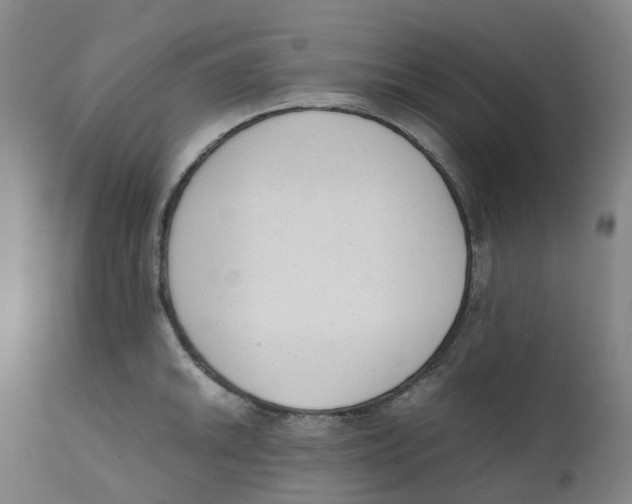 X0000111251046200907231548