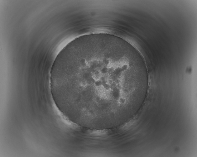 X0000111251047200907231548